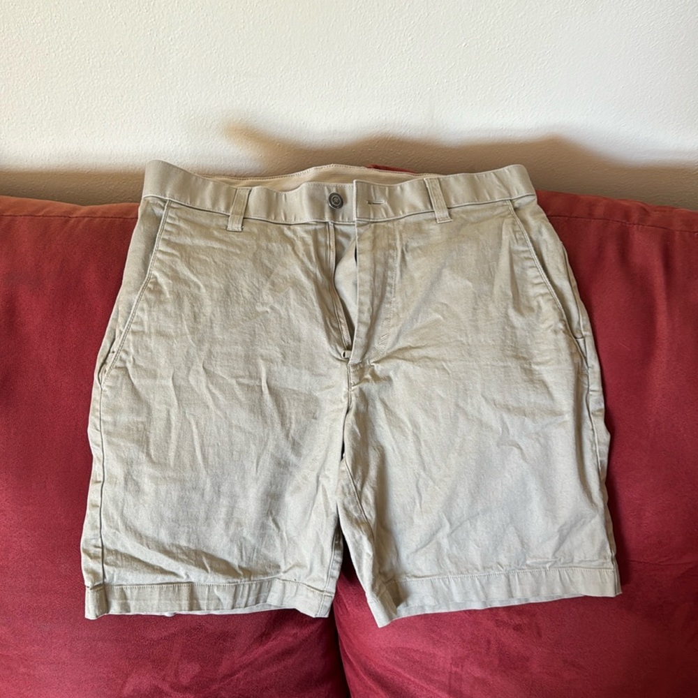 Men’s Fabletics Golf Shorts